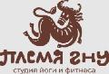 Студия йоги «Племя Гну» в Санкт-Петербурге