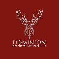 Доминион лтд в Санкт-Петербурге